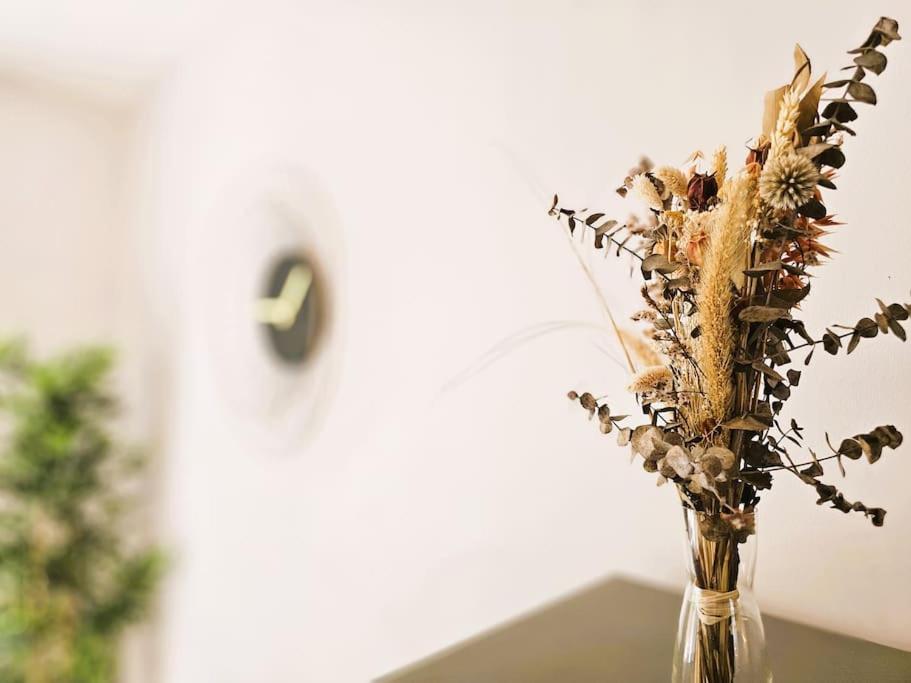 La Noe D'or By Madame Conciergerie Appartement *